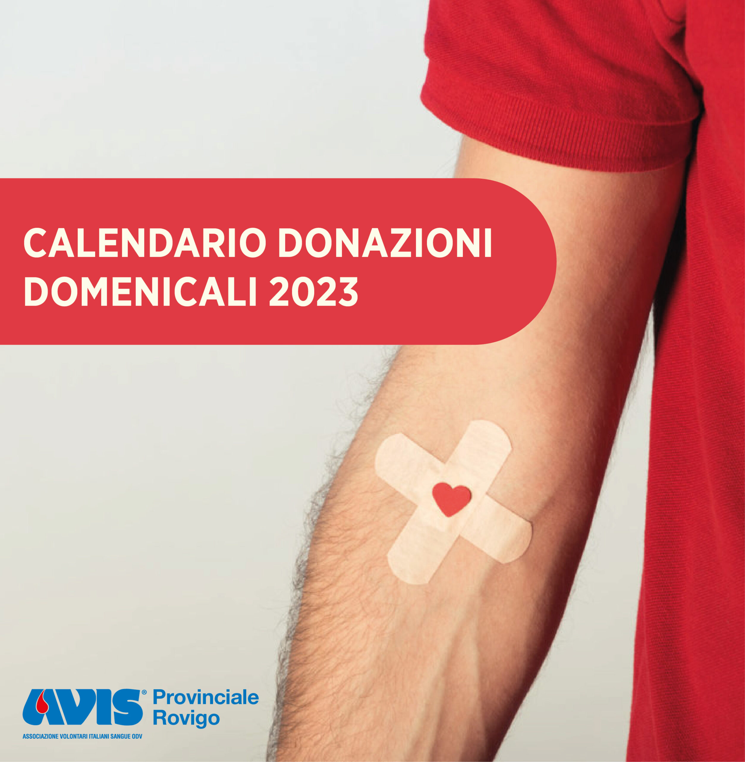 Donazioni DOMENICALI 2023